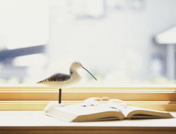 �ڕW�C���[�W